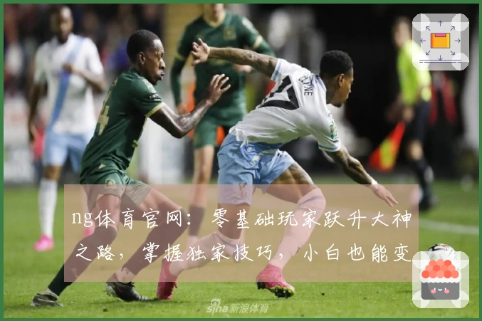 ng体育官网：零基础玩家跃升大神之路，掌握独家技巧，小白也能变老司机